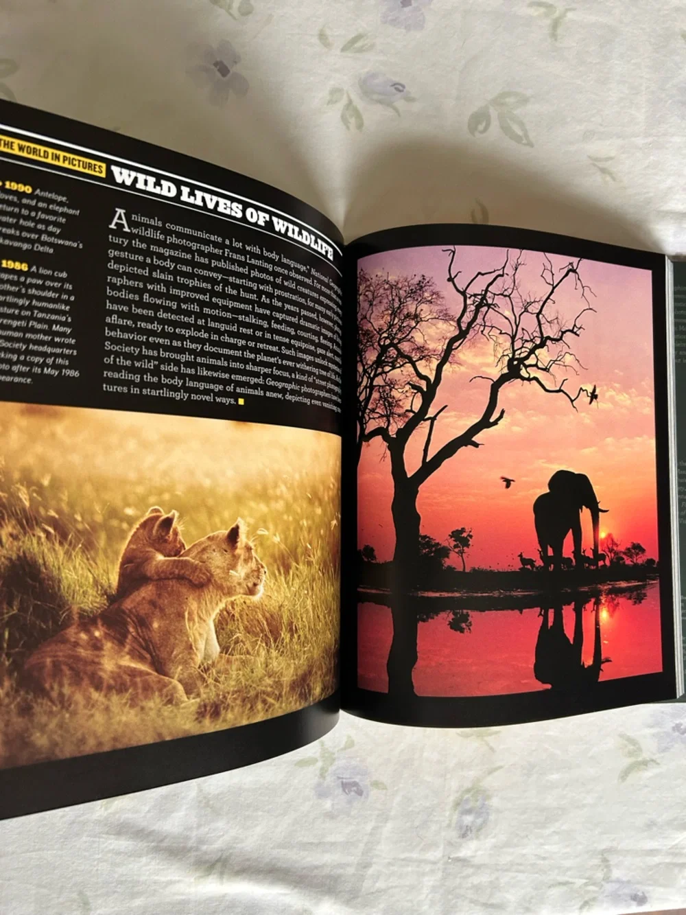 Historical Cultural Travel Academia National Geographic 125 Years Photo Book